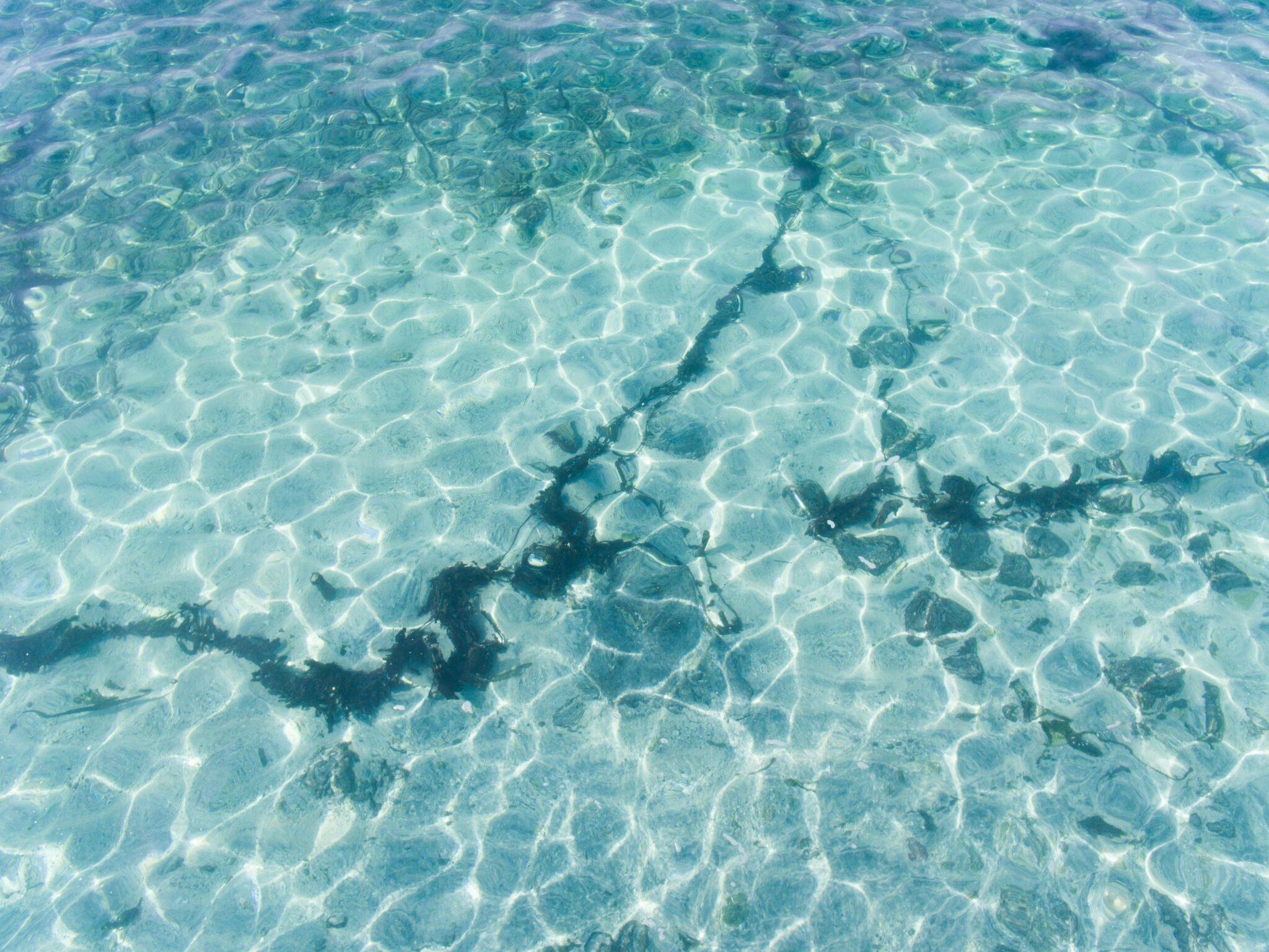 A stunning view of clear ocean water with sunlight creating intricate patterns on the seabed.